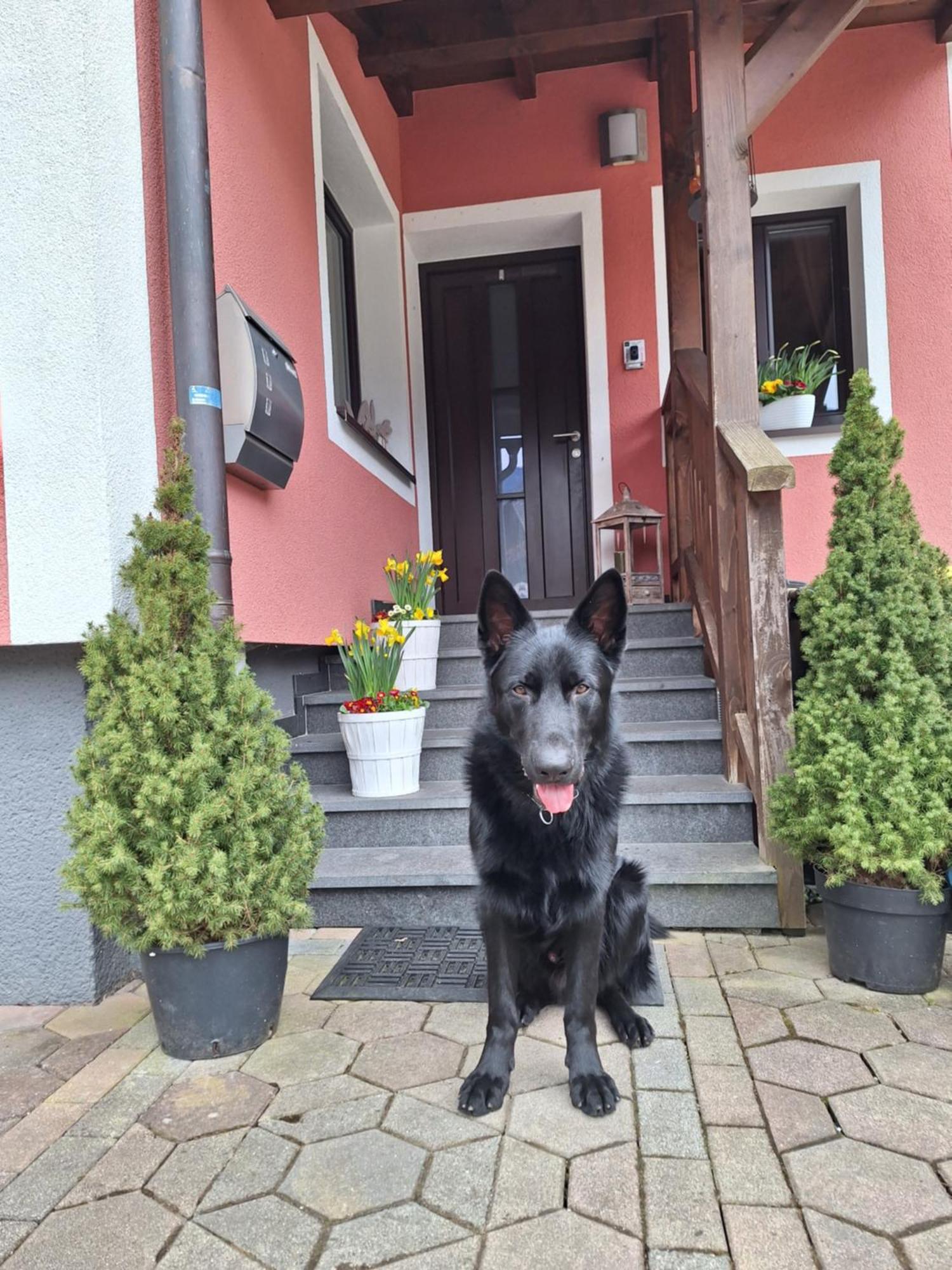 Haus Höll Herta Hallstatt Exterior foto