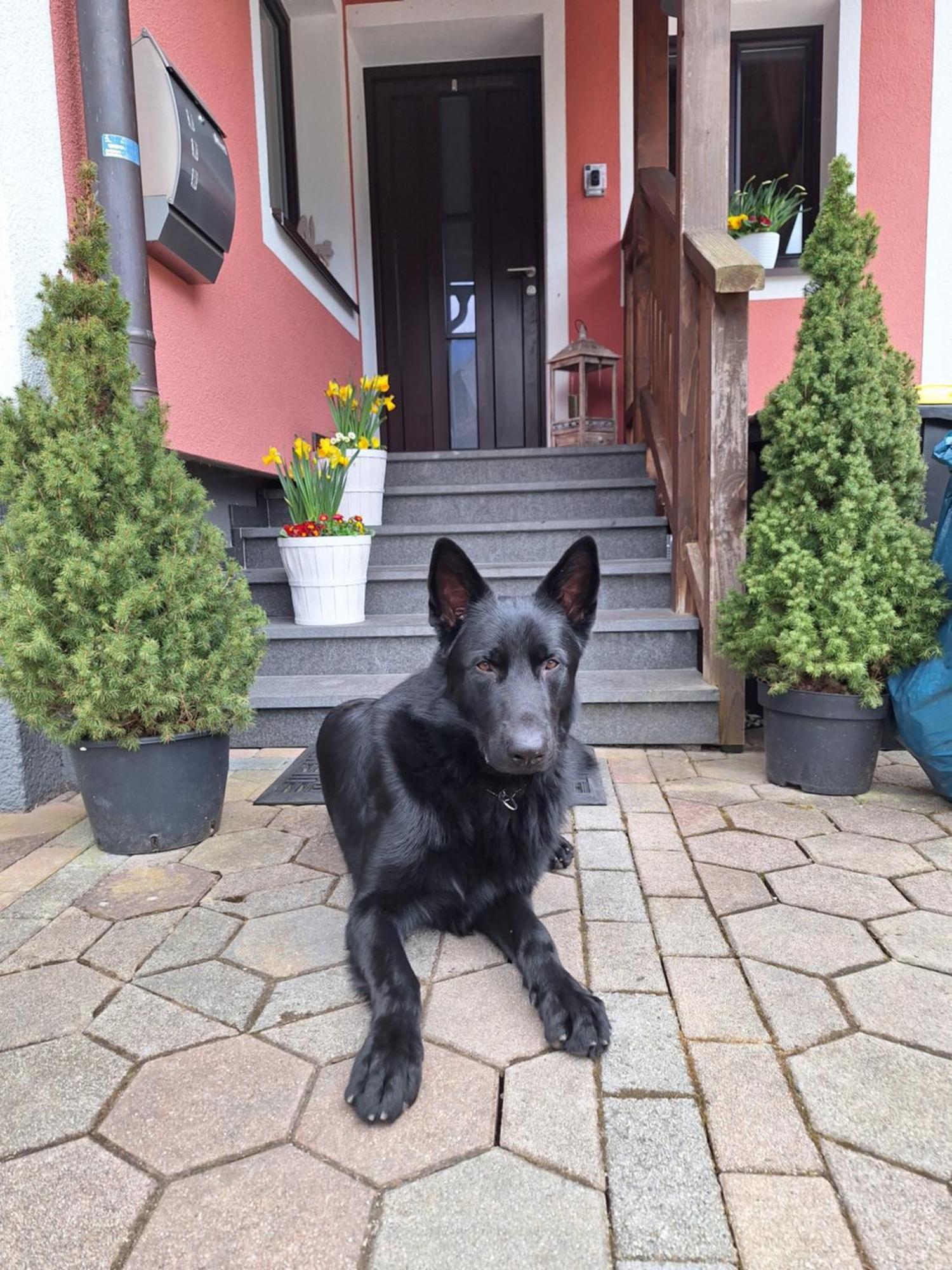 Haus Höll Herta Hallstatt Exterior foto